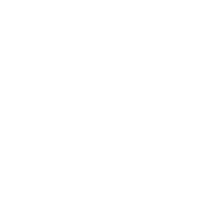 Bayer Cross Logo